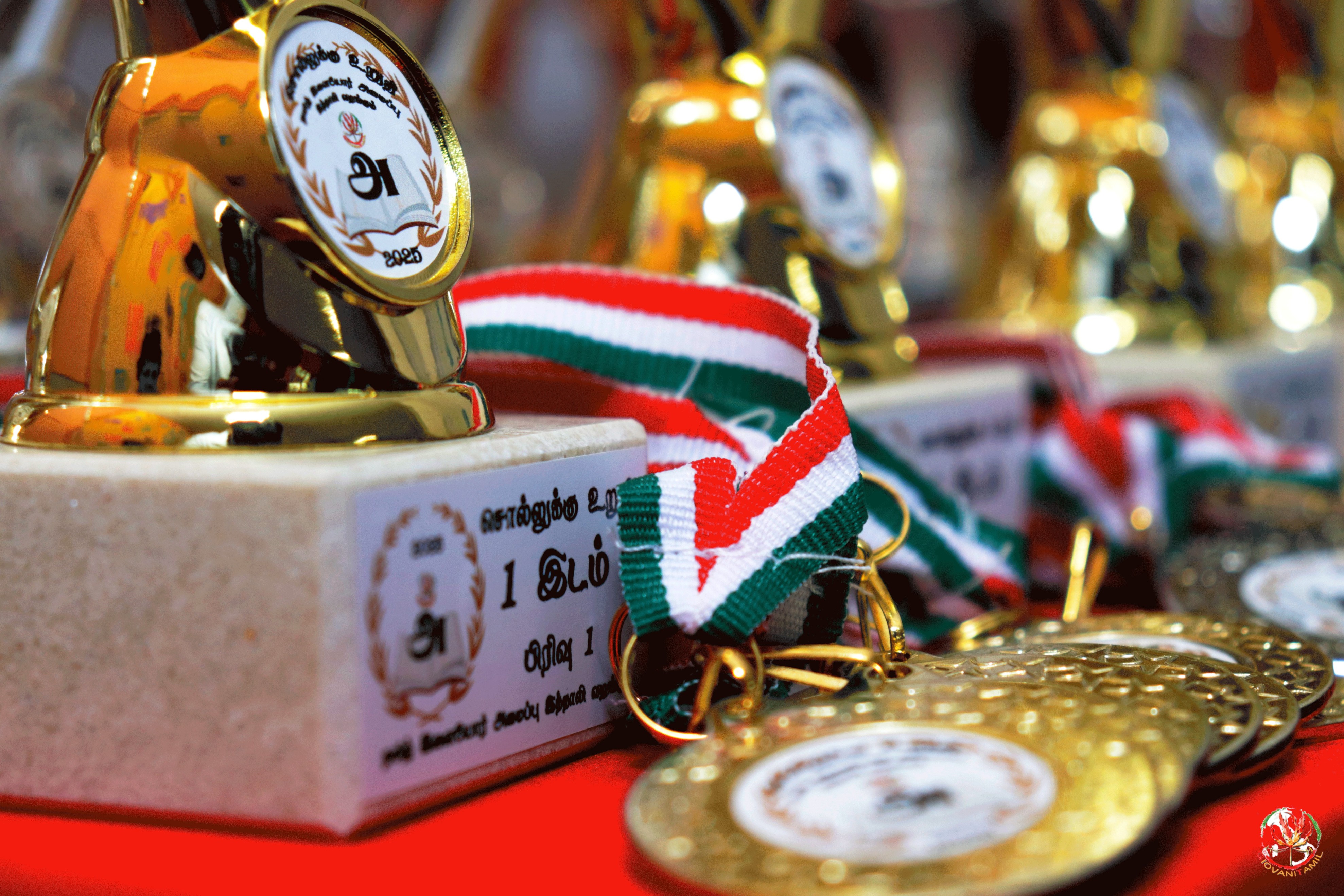 Sollukku Uruthi 2025: Celebrazione della Madre Lingua e della Cultura Tamil a Reggio Emilia